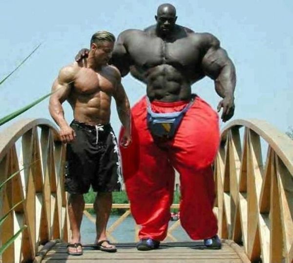 Photoshop ou Realidade ??? (7 fotos)