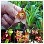 Aliexpress.com: 5 Coisas Inusitadas que se Pode Comprar no mais Famoso Sites de Compras da China